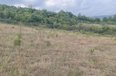 Tirane For Sale Land  Near Equos Resort, Mullet, Tirane Building Plot toke per agroturizem investim